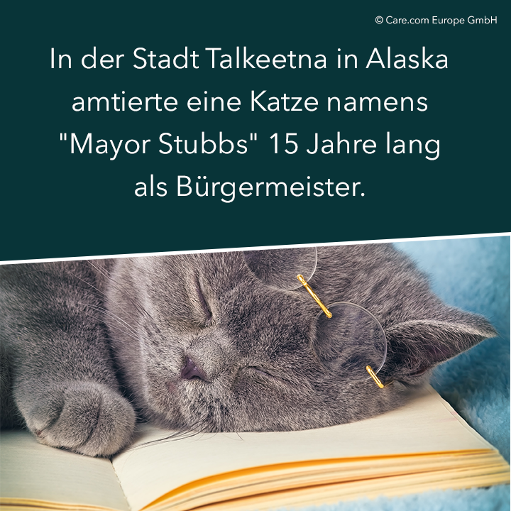 Lustige Fakten über Tiere