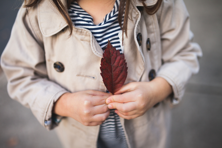 Herbstfrüchteraten: Ein Herbstspiel für die gesamte Familie